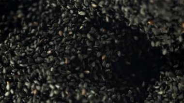 Susam tohumları uçar ve düşer. Film, yavaş çekim 1000 fp. Yüksek kaliteli FullHD görüntüler