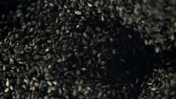 Susam Tohumları Uçar Düşer Film Yavaş Çekim 1000 Yüksek Kaliteli — Stok video
