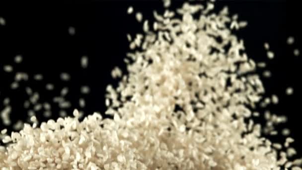 Семена Кунжута Взлетают Падают Замедленная Съемка 1000 Кадров Секунду Высококачественные — стоковое видео