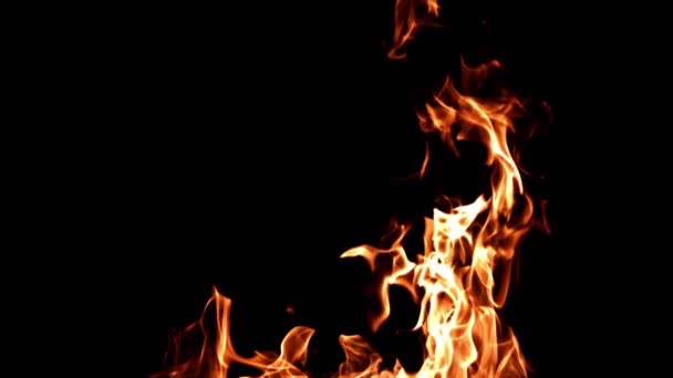 Vlammen Zwarte Achtergrond Gefilmd Slow Motion 1000 Fps Hoge Kwaliteit — Stockvideo