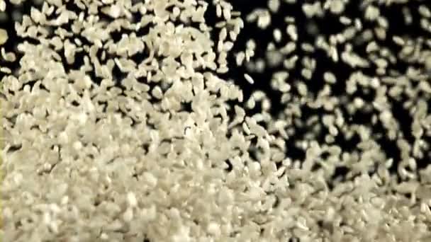 Семена Кунжута Взлетают Падают Замедленная Съемка 1000 Кадров Секунду Высококачественные — стоковое видео