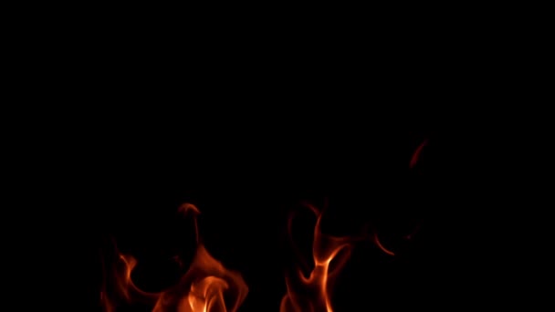 Lángok Fekete Háttérrel Felvétel Lassított Felvétel 1000 Fps Kiváló Minőségű — Stock videók