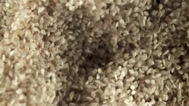 Susam tohumları uçar ve düşer. Film, yavaş çekim 1000 fp. Yüksek kaliteli FullHD görüntüler