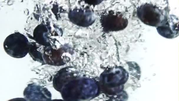 Fresh Blueberry Fall Swirl Filmed Slow Motion 1000 Fps High — Stock Video