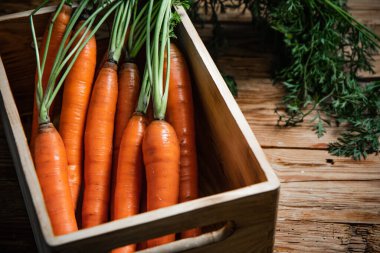 Eski bir kutuda taze havuç.