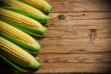 Tahta bir masada taze mısır..
