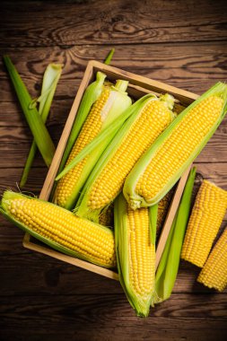 Eski bir kutuda mısır..