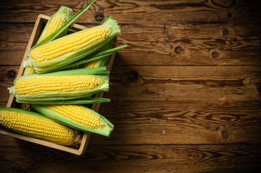 Eski bir kutuda mısır..