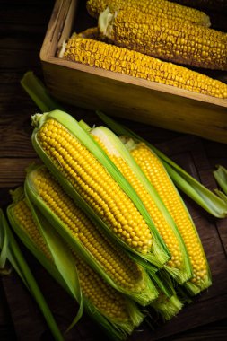 Eski bir kutuda mısır..