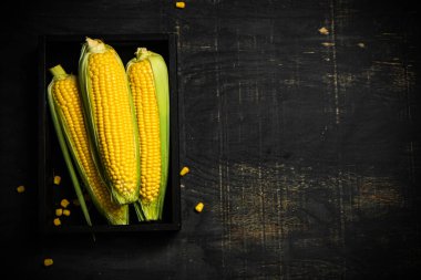 Kara kutuda taze mısır..