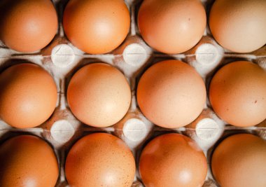 Bir kaset taze yumurta.