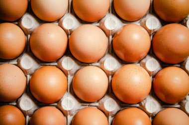 Bir kaset taze yumurta.