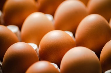 Bir kaset taze yumurta.