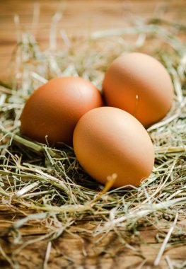 Tahta masadaki tavuk yumurtaları..