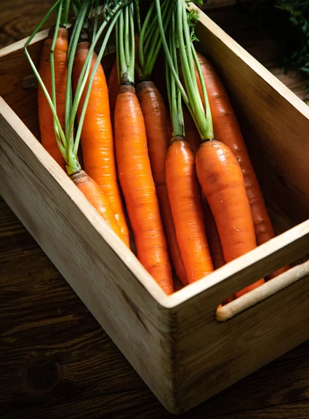 Fresh carrots in an old box.