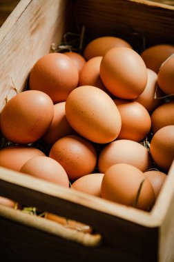 Eski bir kutuda taze tavuk yumurtası..