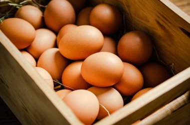 Eski bir kutuda taze tavuk yumurtası..