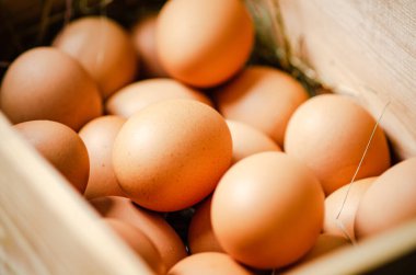 Eski bir kutuda taze tavuk yumurtası..