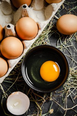 Koyu arkaplanda taze tavuk yumurtası..