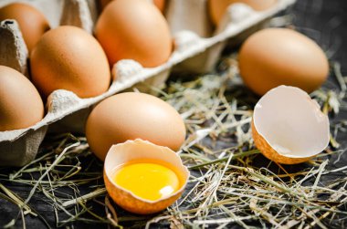 Koyu arkaplanda taze tavuk yumurtası..