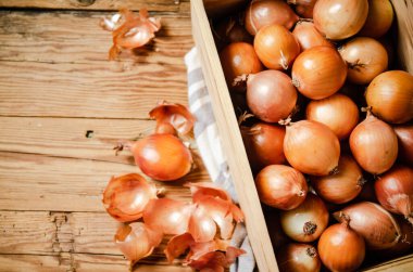 Taze soğan. Kırsal arkaplanda .