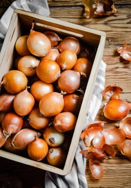 Taze soğan. Kırsal arkaplanda .