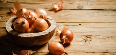 Taze soğan. Kırsal arkaplanda.