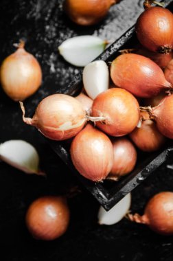 Taze soğan. Kırsal arkaplanda.