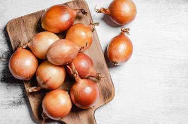 Taze soğan. Kırsal arkaplanda.