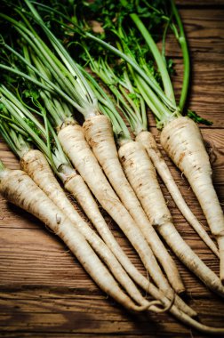 Taze maydanoz kökü. Kırsal arkaplan.