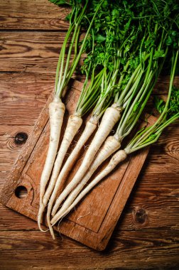 Taze maydanoz kökü. Kırsal arkaplan.