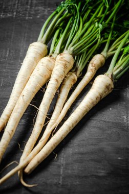 Taze maydanoz kökü. Kırsal arkaplan.