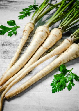 Taze maydanoz kökü. Kırsal arkaplan.