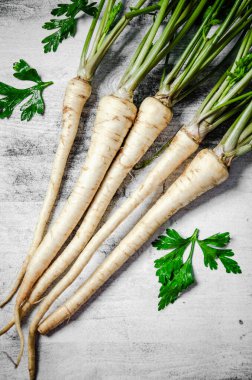 Taze maydanoz kökü. Kırsal arkaplan.