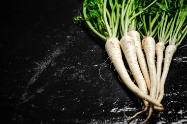Taze maydanoz kökü. Kırsal arkaplan.