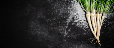 Taze maydanoz kökü. Kırsal arkaplan.