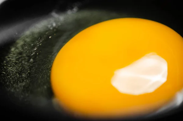Chicken yolk from an egg in a cup.
