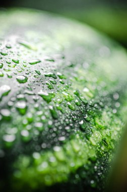 Taze yaz karpuzu. Makro çekim .