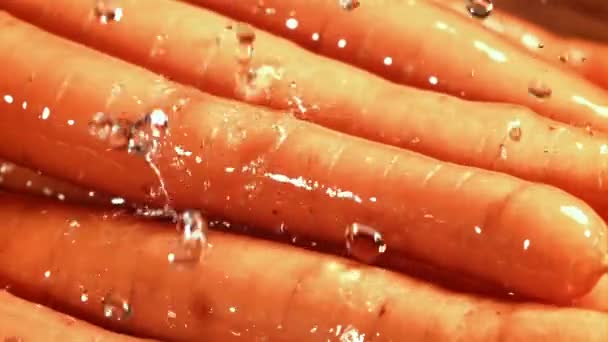 Gotas Agua Caen Sobre Las Zanahorias Filmado Una Cámara Alta — Vídeo de stock