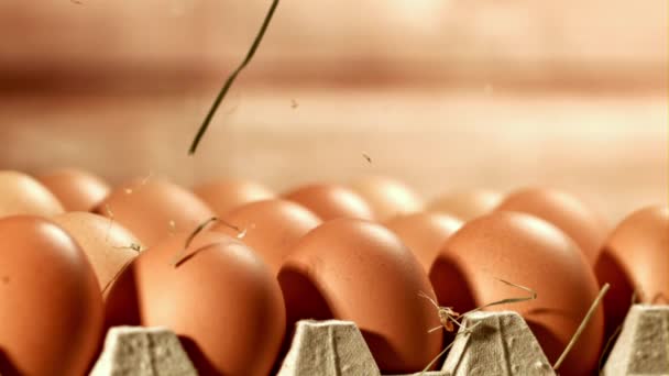 Ξεραμένο Σανό Πέφτει Στα Αυγά Τραβήχτηκε Κάμερα Υψηλής Ταχύτητας Στα — Αρχείο Βίντεο