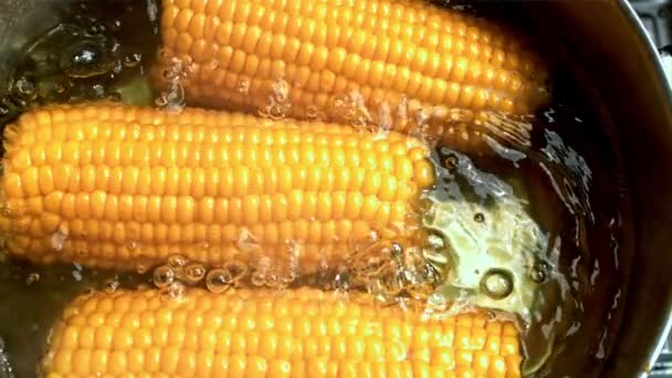 Кукуруза Готовится Кастрюле Пузырьками Воздуха Снято Высокоскоростную Камеру Скоростью 1000 — стоковое видео