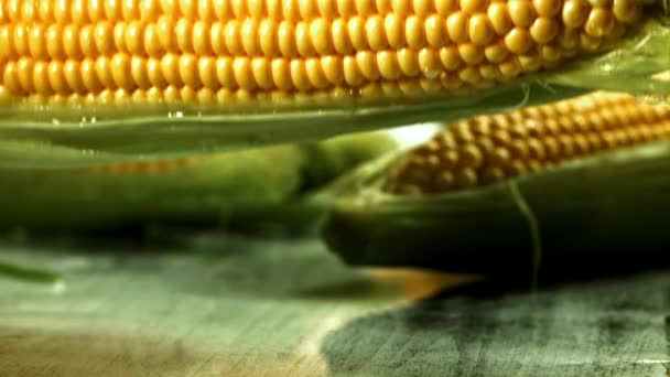 Кукуруза Падает Мокрый Стол Снято Высокоскоростную Камеру Скоростью 1000 Кадров — стоковое видео