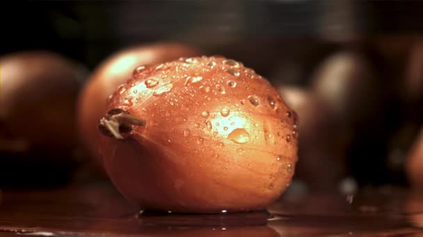 Knife Cuts Onion Half Filmed High Speed Camera 1000 Fps — Stock Video