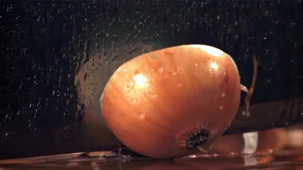 Bıçak Soğanı Ikiye Böler 1000 Fps Yüksek Hızlı Bir Kamerayla — Stok video