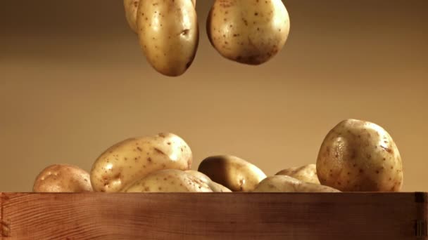 Ziemniaki Wpadają Pudełka Nagranie Szybkiej Kamerze Prędkością 1000 Fps Wysokiej — Wideo stockowe
