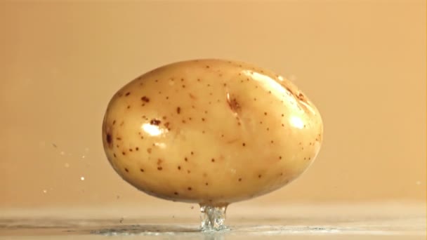 Картопля Падає Мокрий Стіл Знімався Високошвидкісній Камері Швидкістю 1000 Кадрів — стокове відео