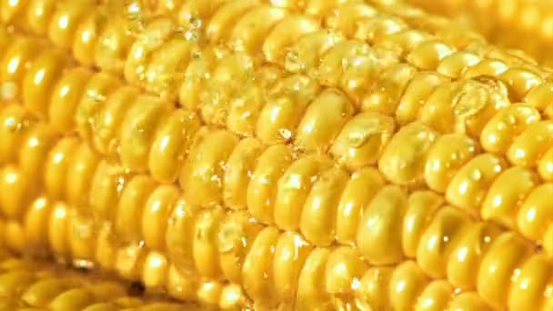 Drops Water Fall Corn Filmed High Speed Camera 1000 Fps — Stock Video