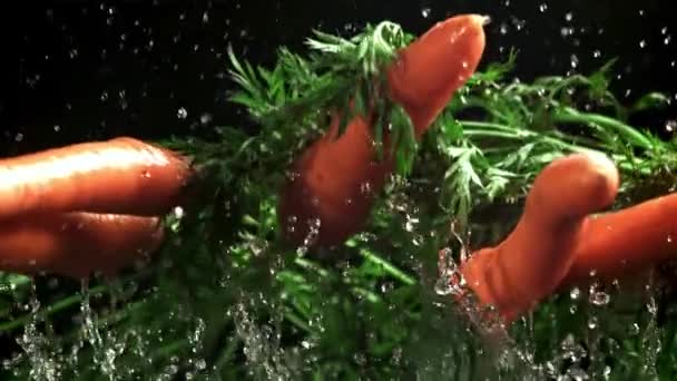 胡萝卜飞上了水花 在1000英尺每秒的高速相机上拍摄 优质Fullhd影片 — 图库视频影像