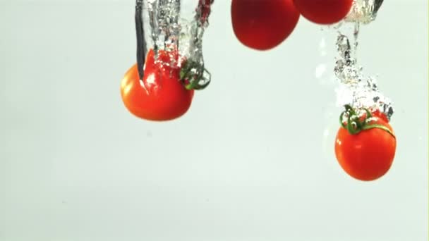 トマトは明るい背景に水没する 1000Fpsで高速カメラで撮影しました 高品質のフルHd映像 — ストック動画