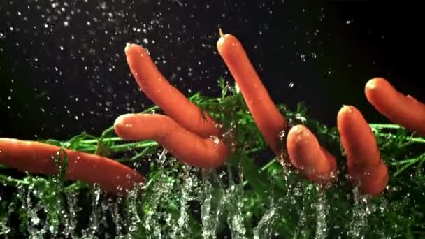 Las Zanahorias Vuelan Con Salpicaduras Agua Filmado Una Cámara Alta — Vídeos de Stock